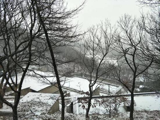 沂蒙山龜蒙景區(qū)已經(jīng)下起了鵝毛大雪