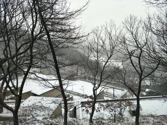 沂蒙山龟蒙景区已经下起了鹅毛大雪