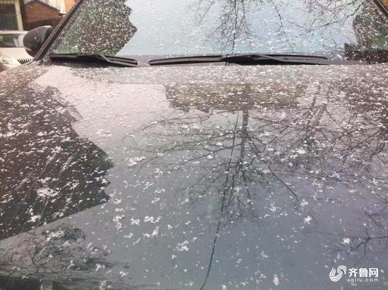 沒錯(cuò),如你所見,濟(jì)南今冬的初雪有些害羞,需要仔細(xì)觀察才能看得到!