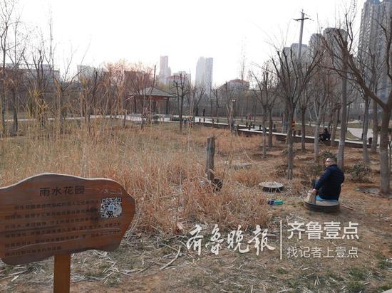 附近居民盼望大辛河常年流水,而且再有亲水平台就好了。