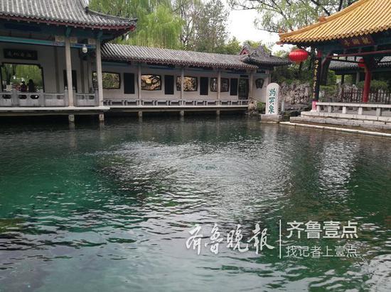 趵突泉三泉眼略高于水面 記者 杜亞慧 攝