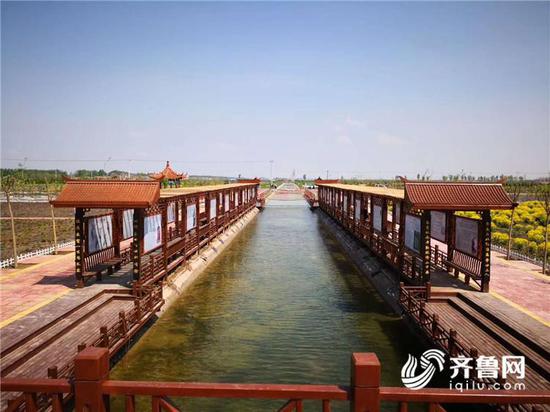 寒亭區高里街道秘境本草種植園景色如畫