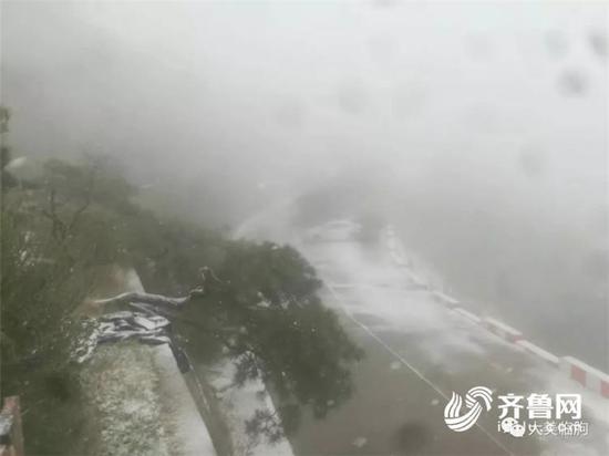 臨朐沂山風景區迎來“春雪”(圖片,@大美臨朐)