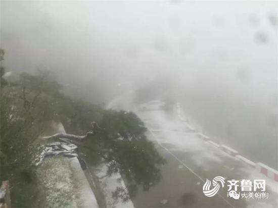 临朐沂山风景区迎来“春雪”（图片，@大美临朐）