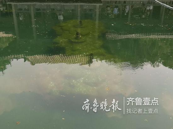 從山西來的年輕游客看到泉眼旁有不少硬幣,戲稱該不會是投硬幣投堵了吧?