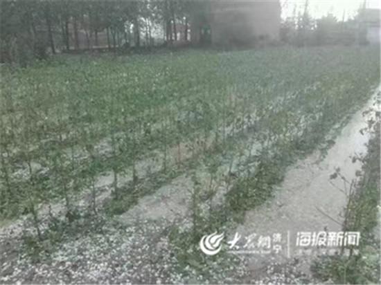 大众网·海报新闻济宁7月6日讯