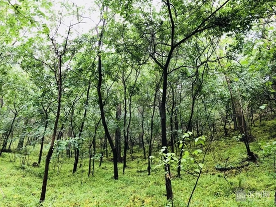 鹤伴山景区