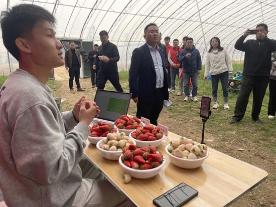 计算机学院天使8号“白草莓”项目