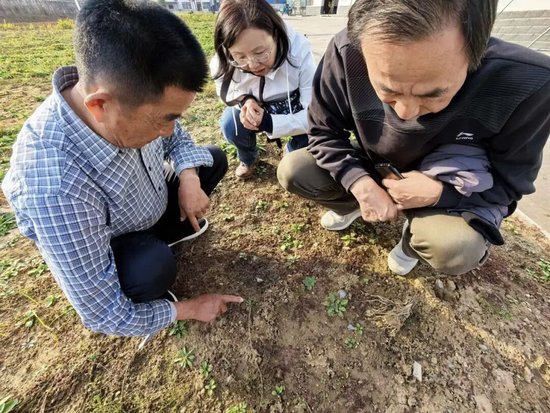 药学院党支部深入推进乡村振兴定点帮扶工作