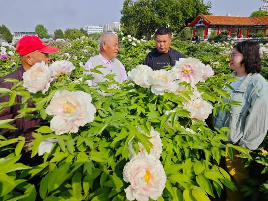 牡丹育种专家实地查看牡丹新品种（资料图）