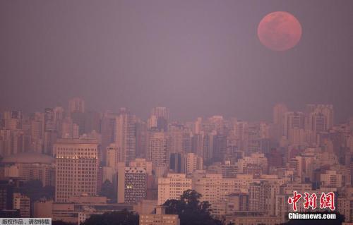 资料图:巴西圣保罗,天空中悬挂着巨大的“超级月亮”。
