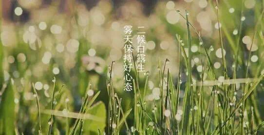 二候白露生,