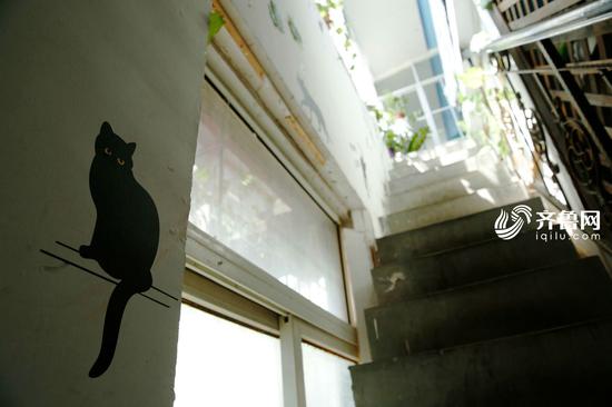　　咖啡厅楼梯内随处可以见到猫的元素。闪电新闻记者 尹承谦 摄