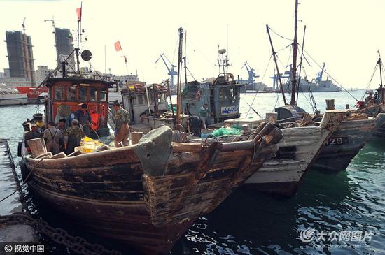 青島市小港漁民趁面條魚汛期抓緊作業,日上岸十多萬斤鮮魚補充市場,在休漁期開始前天天迎來魚滿艙。