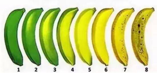 山东一女子每天吃两根香蕉 一个月后的变化惊