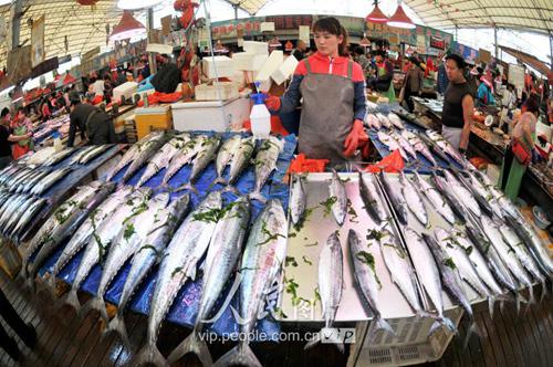 青島市鎮江路市場海鮮攤位擺滿休漁期前捕獲的新鮮的春鲅魚。