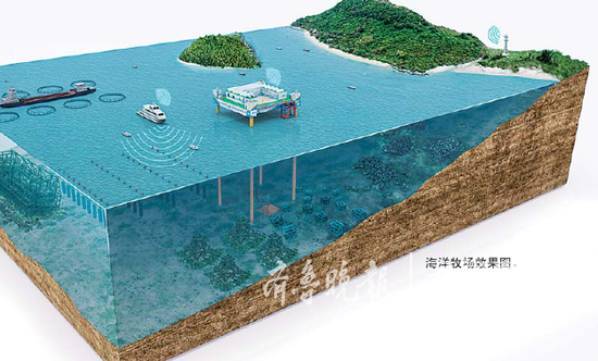 　　海洋牧場每年減排二氧化碳180萬噸