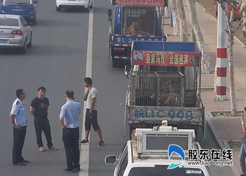 经查,巡游行为并没有获得市交警部门批准