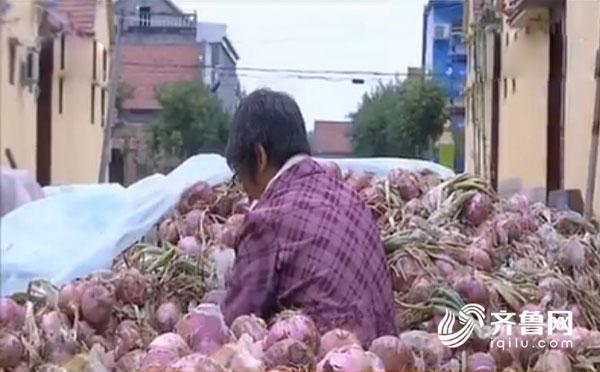 采购商上门 志愿者助力卖洋葱
