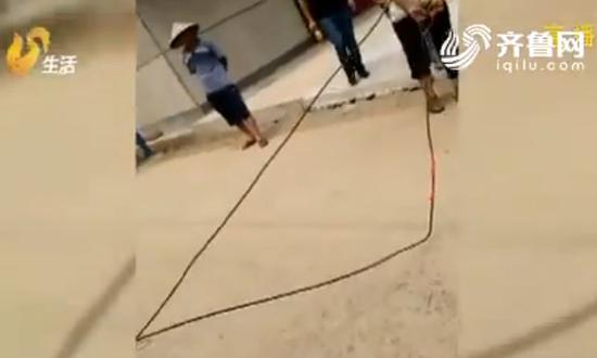 　　問責(zé) “奪命電線”誰負(fù)責(zé)?