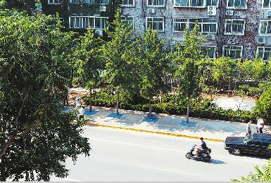 经十一路与千佛山东路交叉口门头房拆除后建成迷你公园