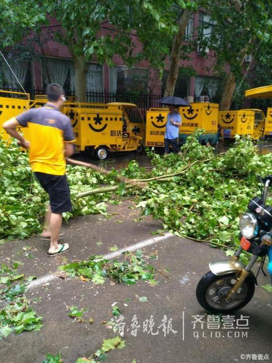 图为附近的居民都纷纷来帮忙清理被吹落的树枝。