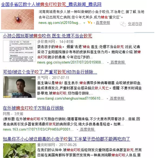 這個蜱蟲到底什么來頭?