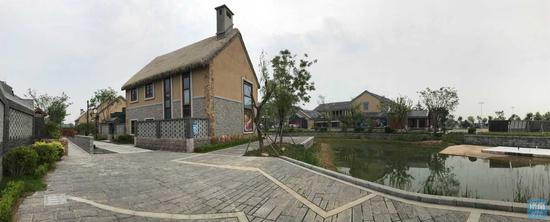 陳長禮 攝