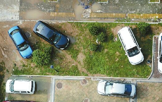21日，数辆车停进了绿化带内，碾压草地和苗木。由于车辆反复碾压，部分绿化带已成黄土地。