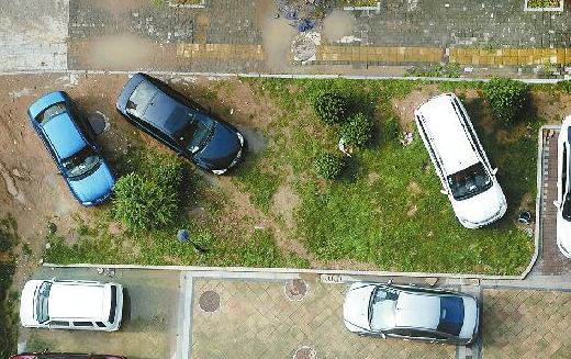 21日,數輛車停進了綠化帶內,碾壓草地和苗木。由于車輛反復碾壓,部分綠化帶已成黃土地。