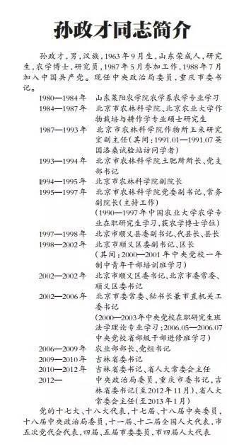 这份简历来自《重庆日报》↓↓↓