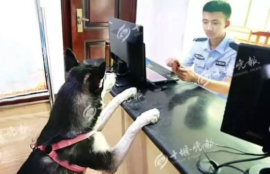 (十堰晚報)