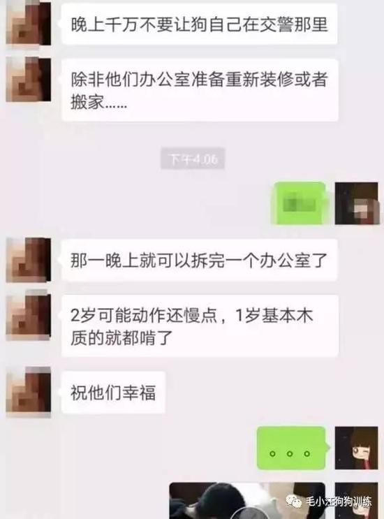 小萨摩刚被交警蜀黍带回来的时候，