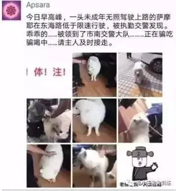 騙！吃！騙！喝！