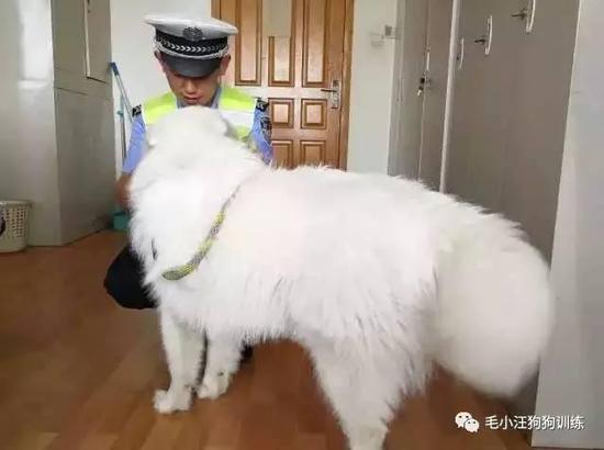 交警蜀黍一臉懵逼地說,