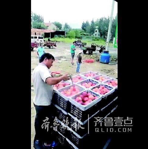 謠言視頻截圖，視頻拍攝者說果農正往桃子上噴灑防腐劑。