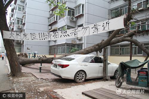 　　2017年7月28日消息，济南。最近一段时间连续几场雨，让泉城清凉了不少，与此同时，相伴而来的大风却让有的市民头疼不已。