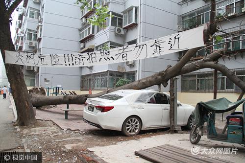 　　2017年7月28日消息，濟南。最近一段時間連續幾場雨，讓泉城清涼了不少，與此同時，相伴而來的大風卻讓有的市民頭疼不已。