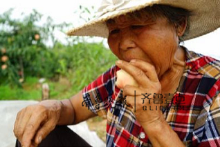 (树上摘个桃,衣袖一擦就吃。齐鲁晚报·齐鲁壹点 记者孙俏俏悄摄)