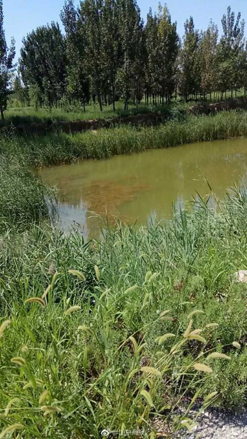 　　7月14日，山东德州青年李文星的尸体在静海区104国道旁的一处水塘里被发现。