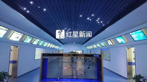 ▲低溫醫療中心內部,每面玻璃可調透明度