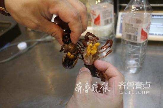 (左側是未經過清洗的,右側是清洗干凈的,差別明顯。)