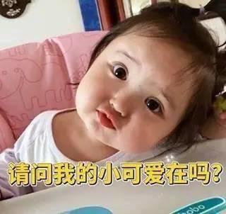 然鵝