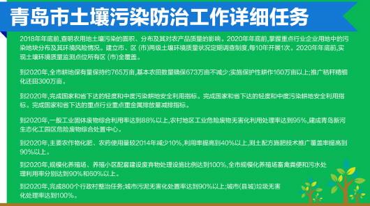 半岛全媒体记者 王媛 实习生 宫优美 报道