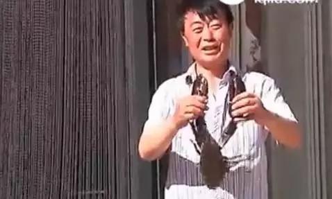 范先生表示,2015年砣矶岛一位渔民出海捕虾,一网出来,一个大块头出现在渔网中,仔细一看原来是一只3斤多重的大海虾。