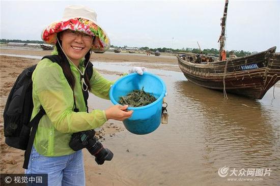 在海边经常可以看到不少大人小孩们拿着小筐小铲在沙滩上抓螃蟹,挖蛤蜊……许多人管这叫做赶海,但日照当地人称其为上海。