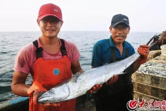 船员们怕冰块压坏这条大鱼,将它单独进行保鲜。