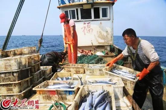 冷藏之前,要把每箱鱼用海水进行重新,洗去鱼身上脏乱的东西。把鱼获放进甲板下的冰舱里。