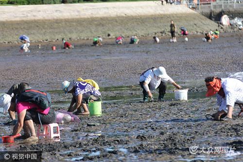 市民棧橋海灘挖蛤蜊