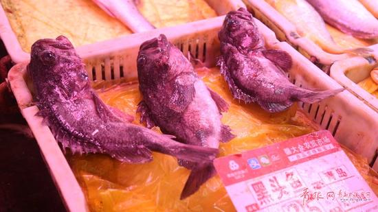 团岛农贸市场里售卖的黑头鱼,模样别具一格。每年开海后海捕鱼上市,价格都会比平时偏低,但销量比以往更多。